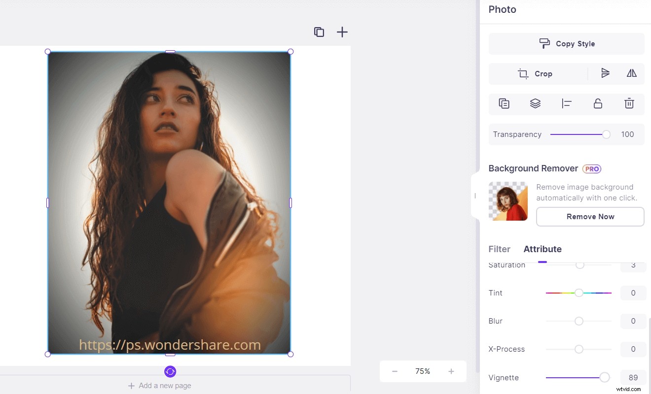 How to Add a Professional Vignette Effect to Your Photos Online