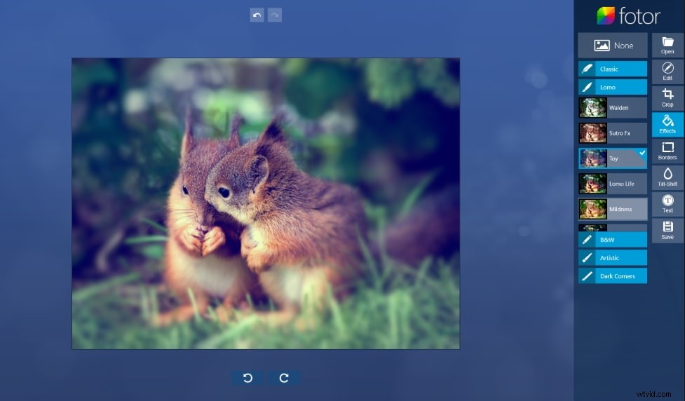 How to Add a Professional Vignette Effect to Your Photos Online