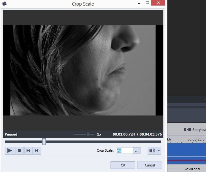 How to Crop Videos in AVS Video Editor: Step-by-Step Guide
