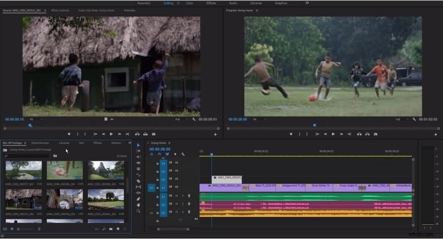 Adobe Premiere Elements vs. Premiere Pro: Which Video Editor Should You Choose?