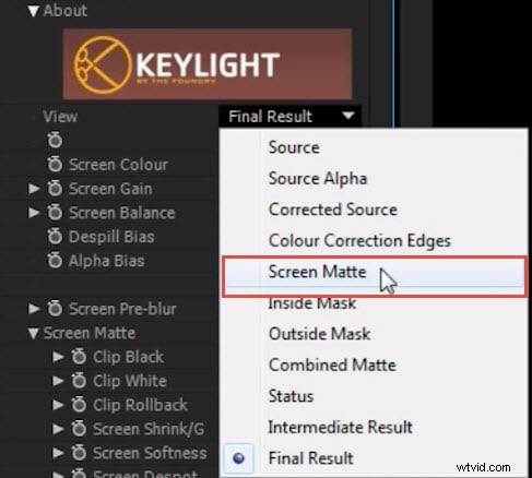 Master Green Screen Chroma Key in After Effects & FilmoraPro: Step-by-Step Tutorial