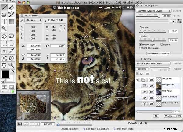 Top 5 Best Free Photo Editors for Mac (2024 Update)