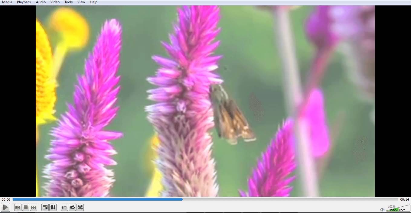 Top 6 Best Online Video Croppers: Easy Ways to Crop Videos Online