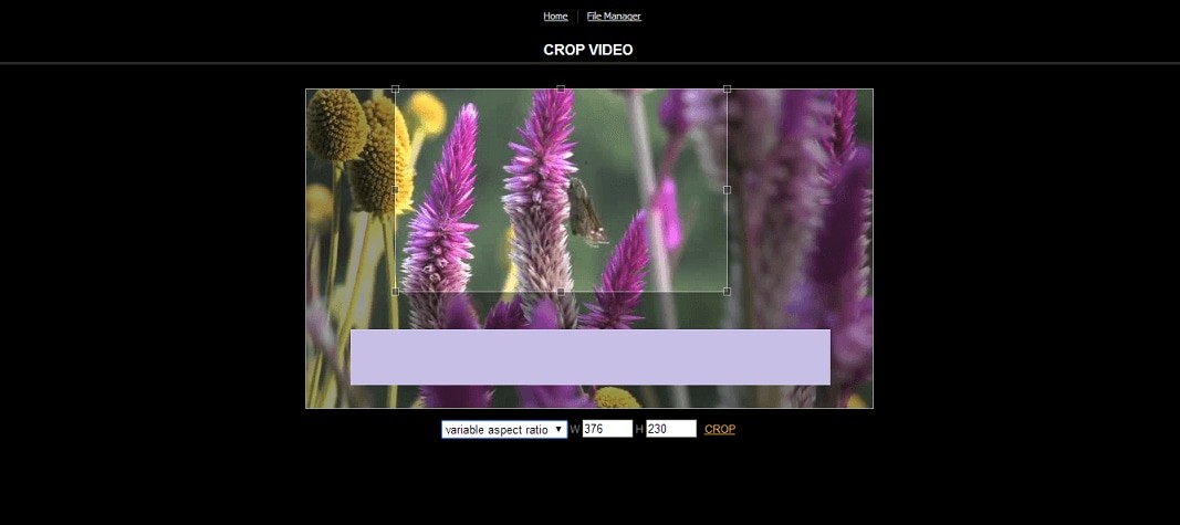 Top 6 Best Online Video Croppers: Easy Ways to Crop Videos Online