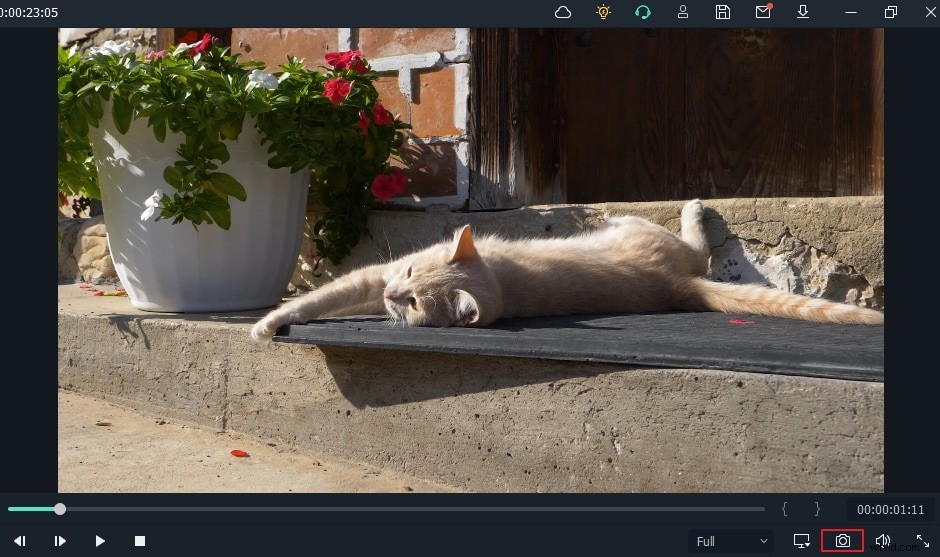 How to Convert Videos to Animated GIFs: Easy Expert Tips