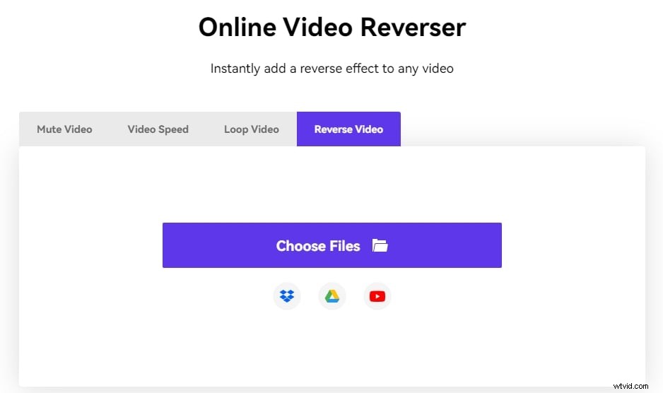 Top 10+ Best Video Reverse Software: Reverse Any Video Effortlessly