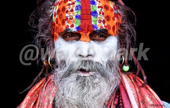 Top 5 Best Tools to Remove Watermarks from Images Effortlessly