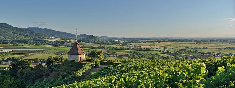 Best Free Royalty-Free Image Websites: Download Copyright-Free Photos Safely