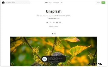 Top 11 Best Free Websites for Royalty-Free Stock Photos and Images