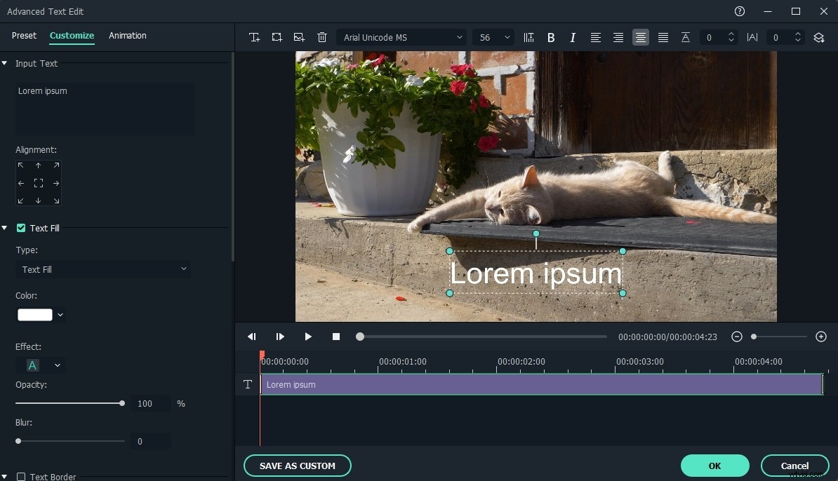 Quickly Add Text Overlays to Videos: Easy Professional Tutorial