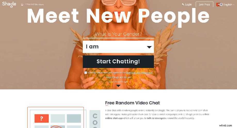 Top 10 Best Omegle Alternatives for Random Video Chats