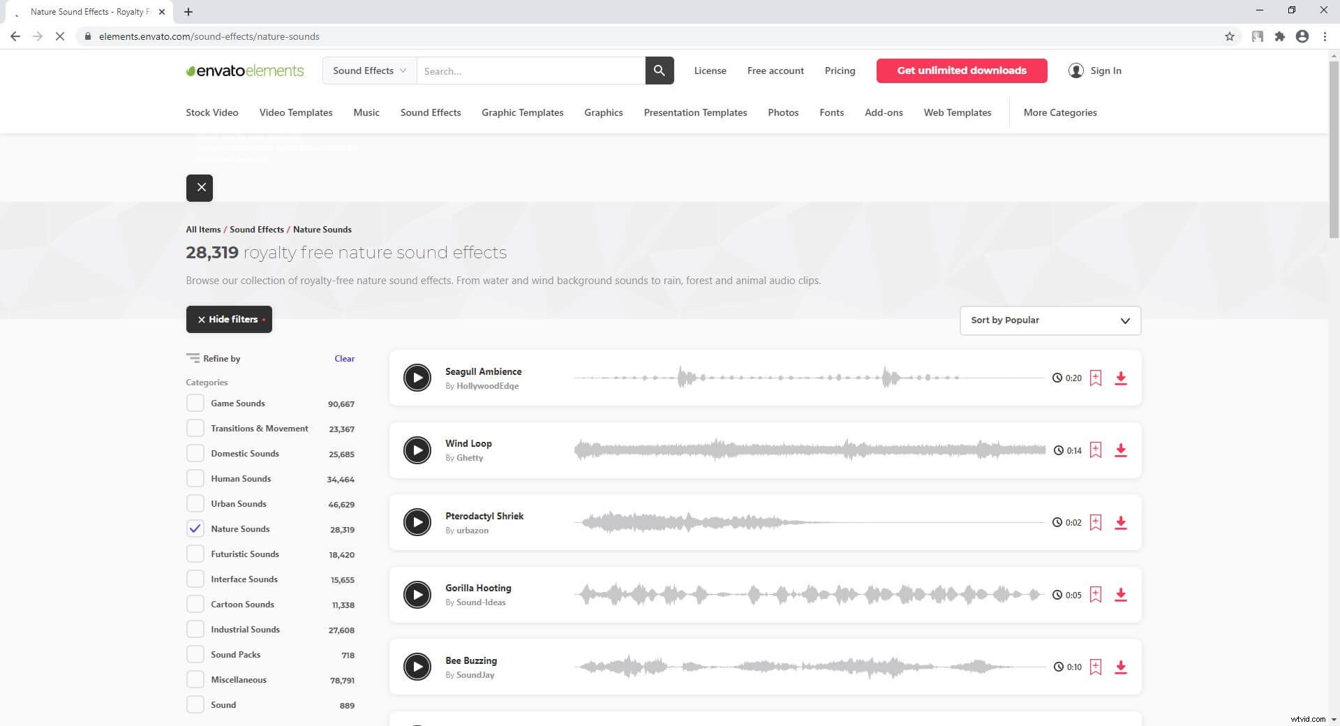 Top Websites to Download Free Nature Sounds: Rain, Crickets & More for Relaxation