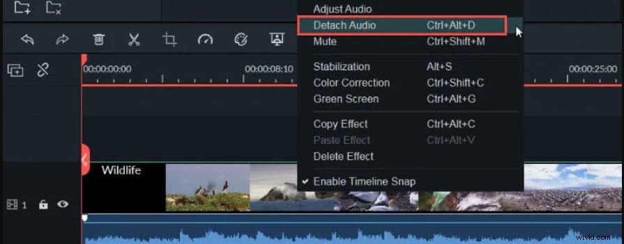 Best Windows Video Editing Software to Remove Audio from Videos (2024)