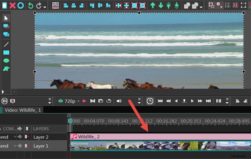 Best Windows Video Editing Software to Remove Audio from Videos (2024)