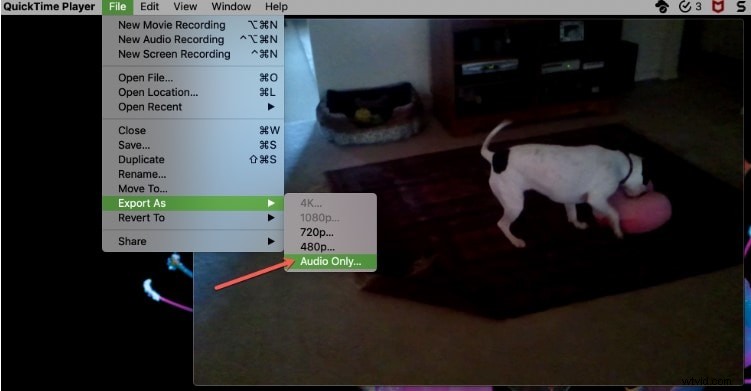 How to Extract Audio from Videos on Windows, Mac, and Phones – Best Tools Guide