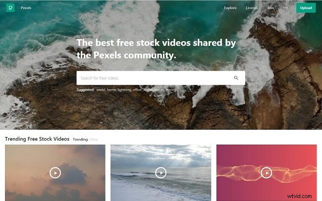 Top 10 Best Websites for Free HD Video Background Downloads (2022)