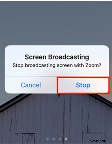 How to Share Your Screen on Zoom: Step-by-Step Guide