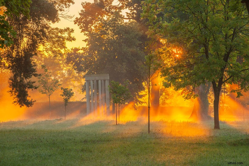 21 Expert Tips for Capturing Stunning Garden Photographs