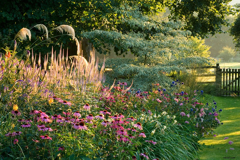 21 Expert Tips for Capturing Stunning Garden Photographs