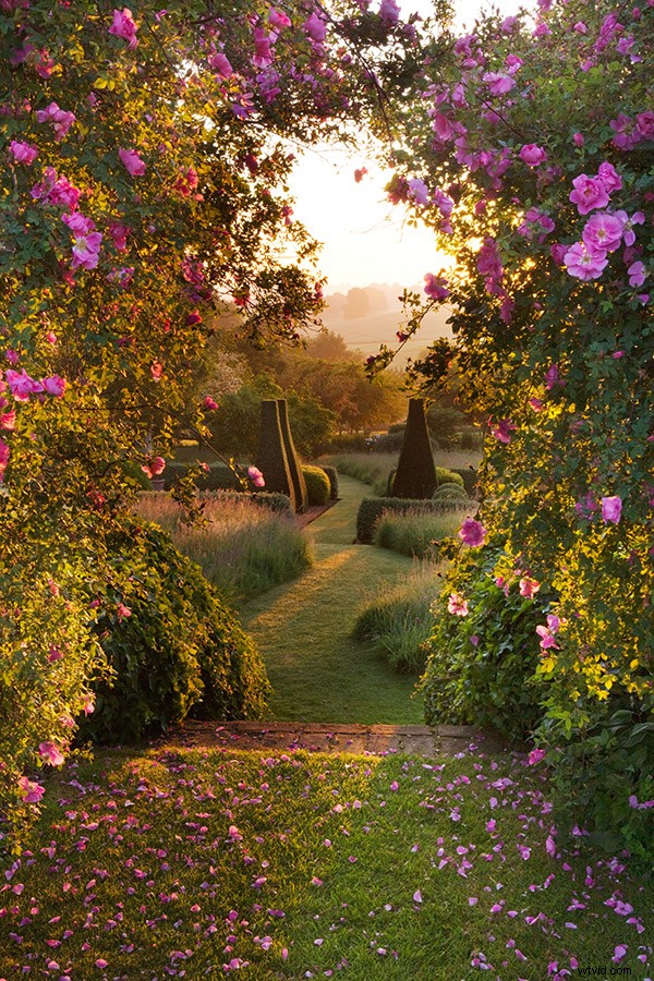 21 Expert Tips for Capturing Stunning Garden Photographs