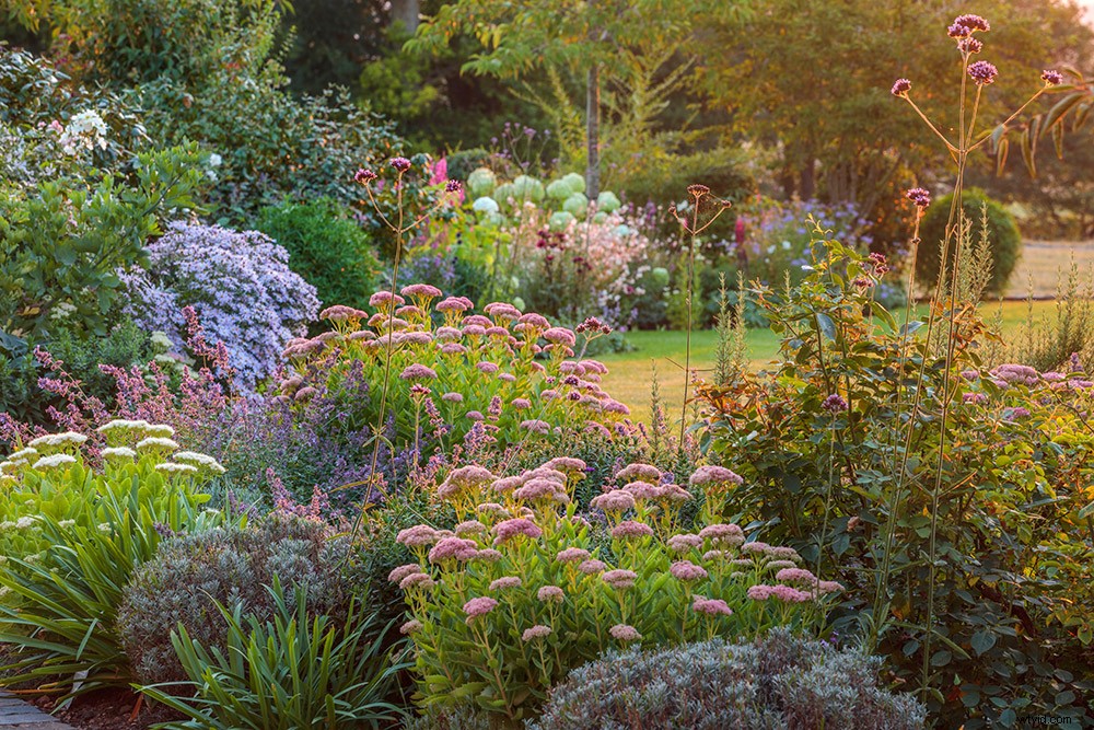21 Expert Tips for Capturing Stunning Garden Photographs