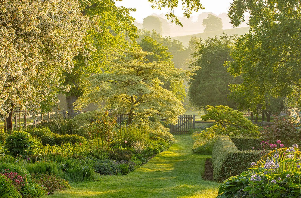 21 Expert Tips for Capturing Stunning Garden Photographs