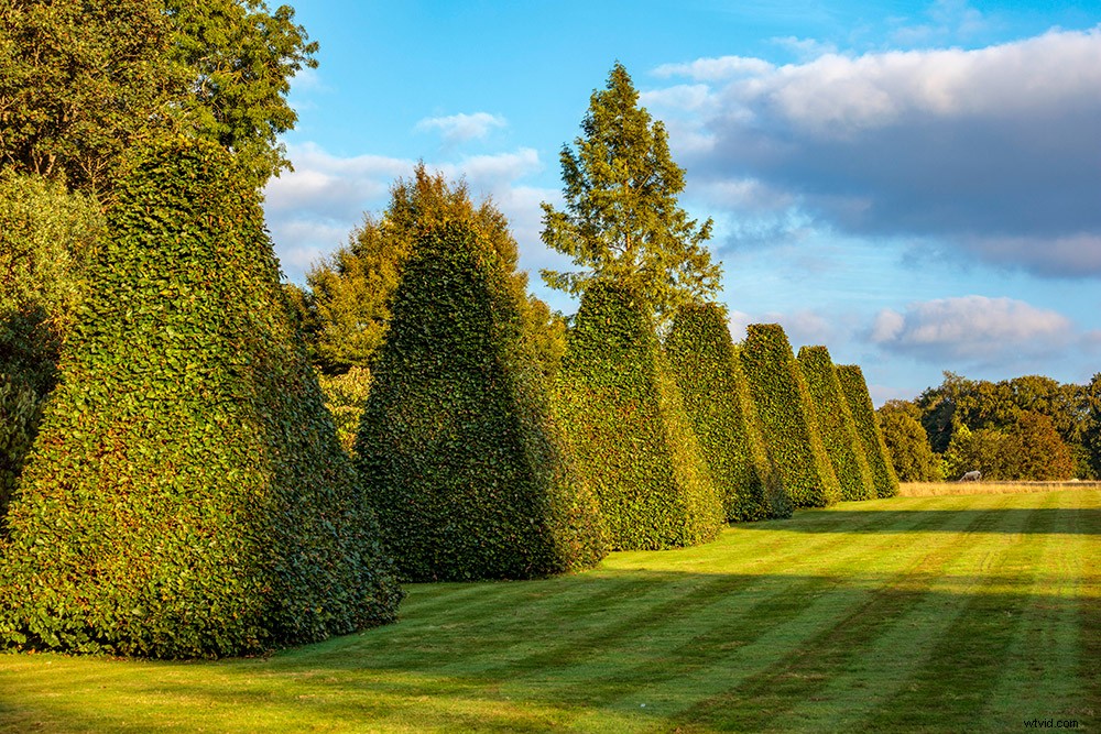 21 Expert Tips for Capturing Stunning Garden Photographs