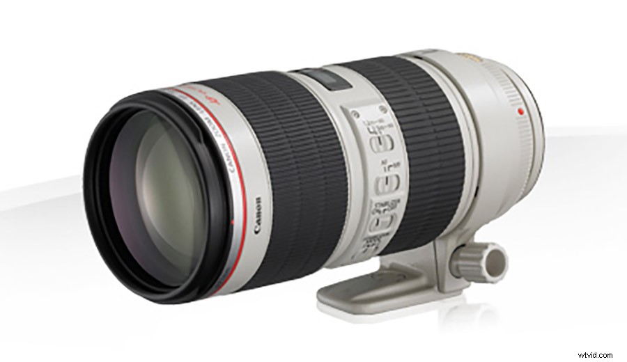 21 Expert Tips for Capturing Stunning Garden Photographs