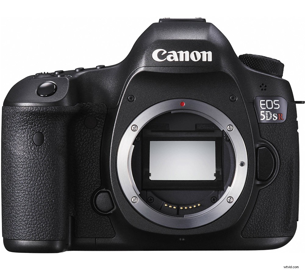 21 Expert Tips for Capturing Stunning Garden Photographs