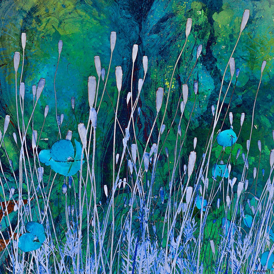 21 Expert Tips for Capturing Stunning Garden Photographs