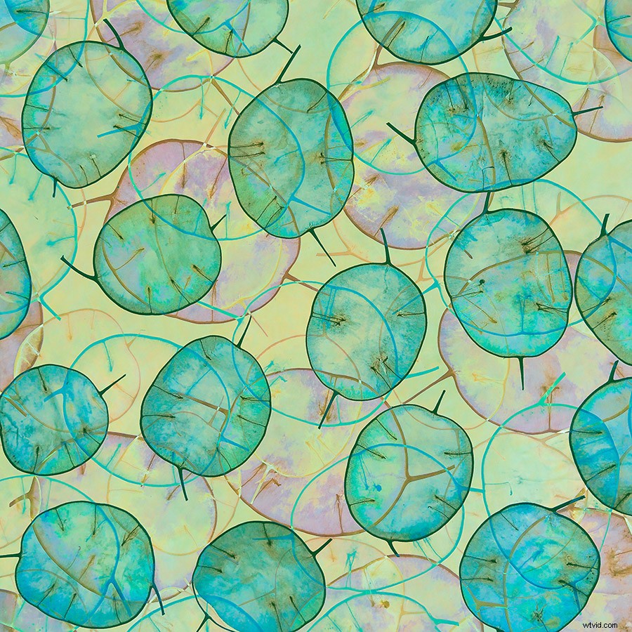 21 Expert Tips for Capturing Stunning Garden Photographs