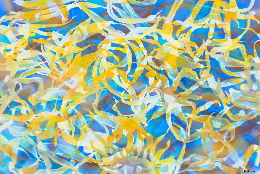 21 Expert Tips for Capturing Stunning Garden Photographs