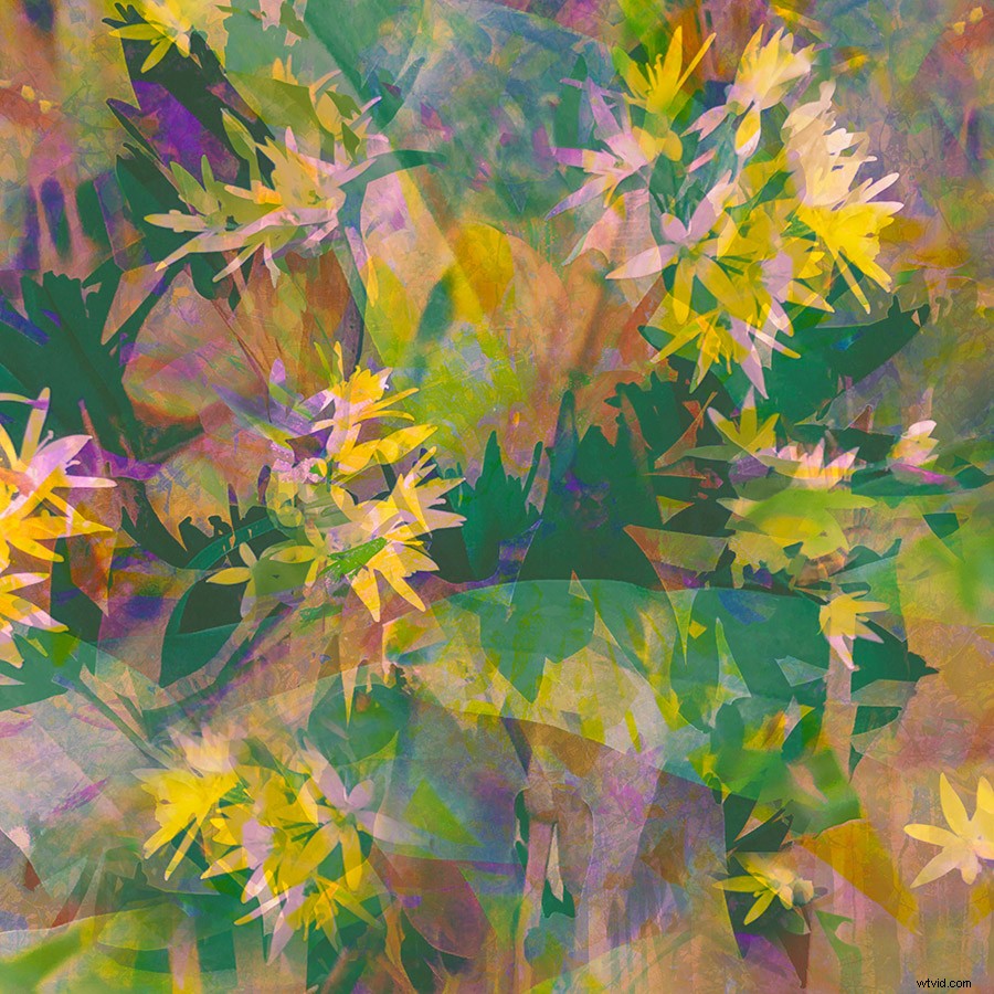 21 Expert Tips for Capturing Stunning Garden Photographs