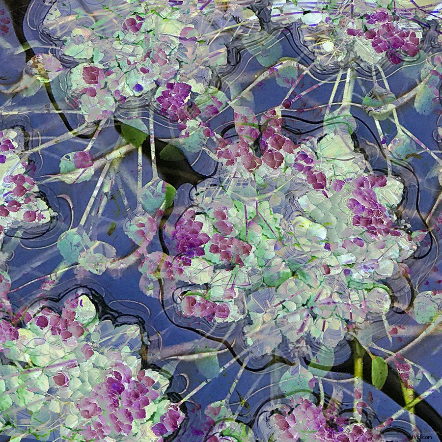 21 Expert Tips for Capturing Stunning Garden Photographs