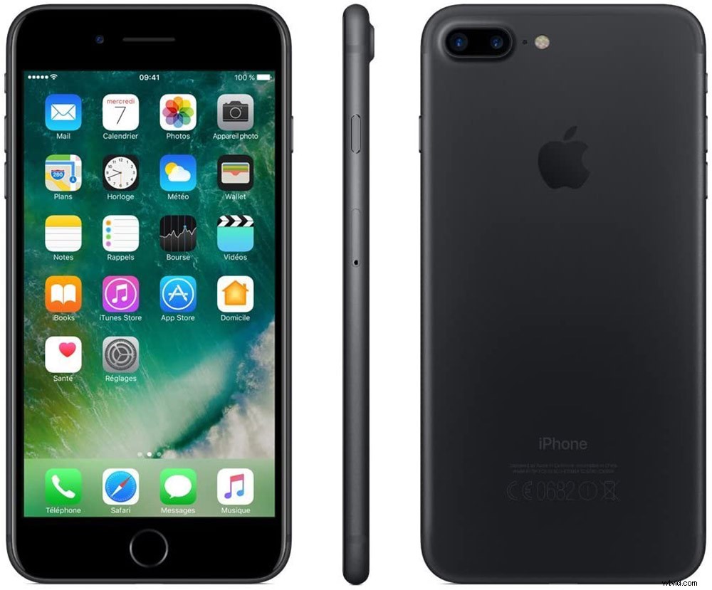 21 Expert Tips for Capturing Stunning Garden Photographs