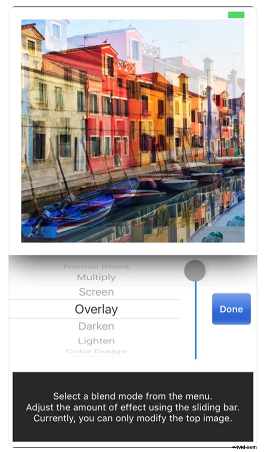 21 Expert Tips for Capturing Stunning Garden Photographs