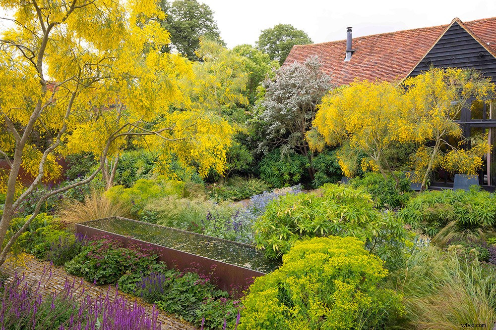 21 Expert Tips for Capturing Stunning Garden Photographs