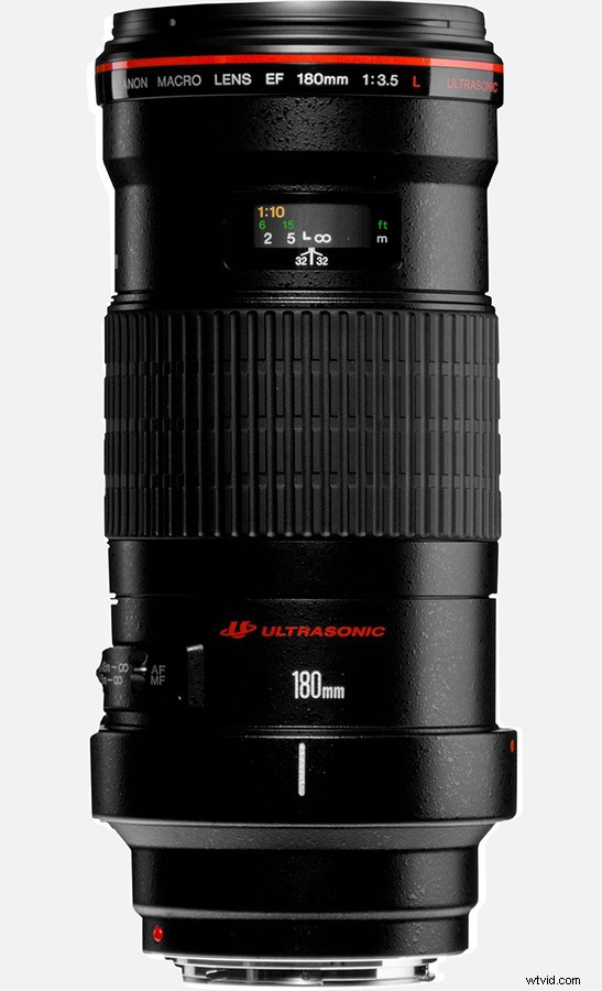 21 Expert Tips for Capturing Stunning Garden Photographs