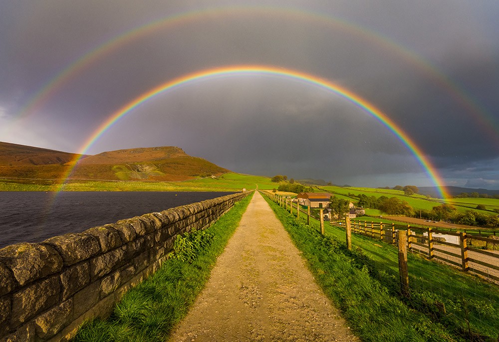 Master Rainy Day Photography: Expert Tips for Stunning Shots in Wet Weather