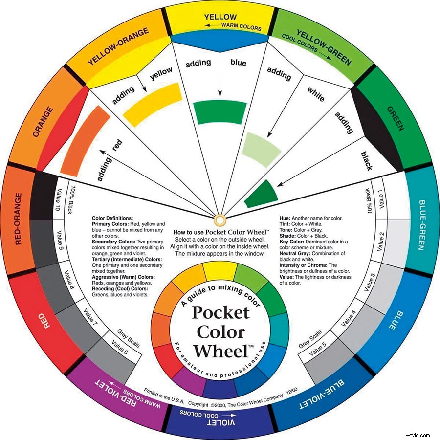 Master Creative Color Use in Photography: Psychology Tips and Techniques