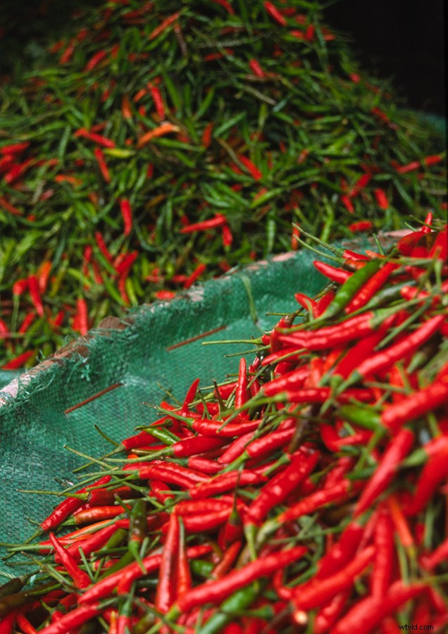 Master Creative Color Use in Photography: Psychology Tips and Techniques