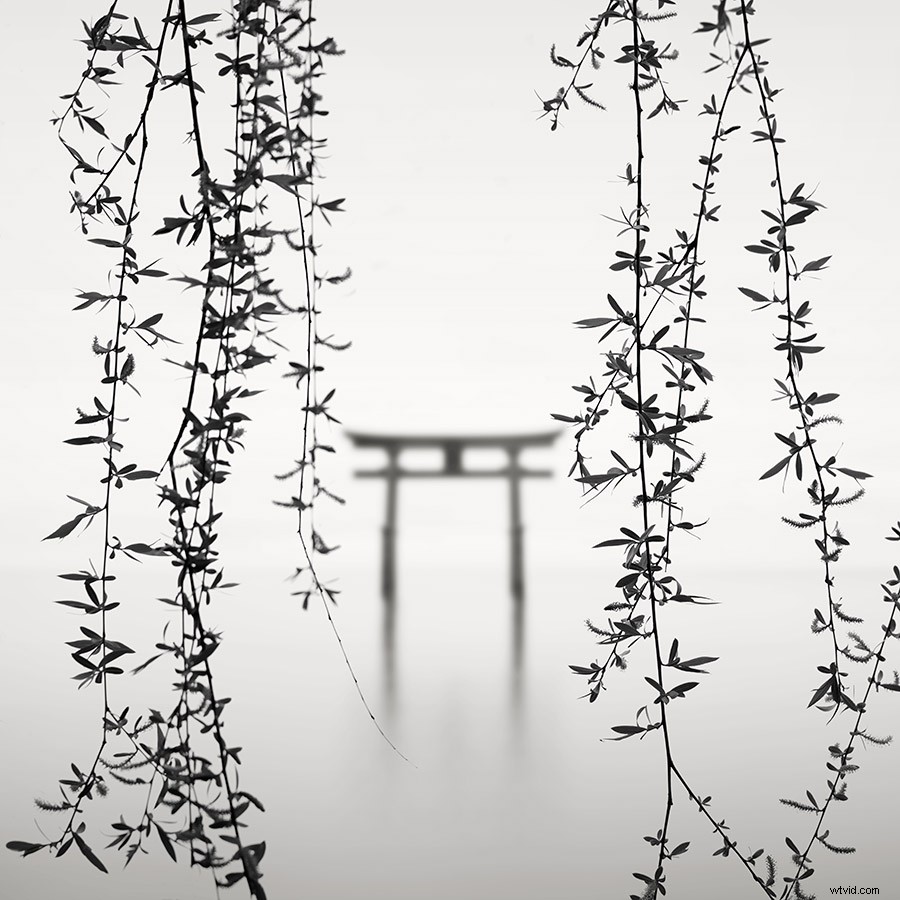 Elevate Landscape Photography with Square Format: Insights from Top Experts