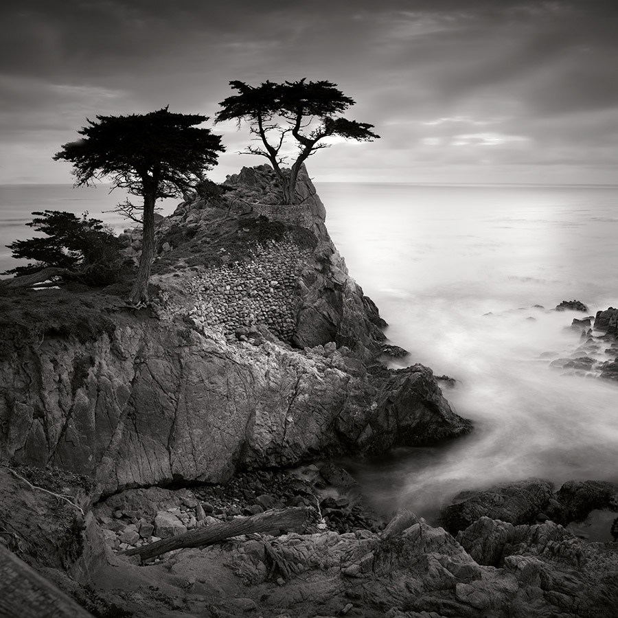 Elevate Landscape Photography with Square Format: Insights from Top Experts