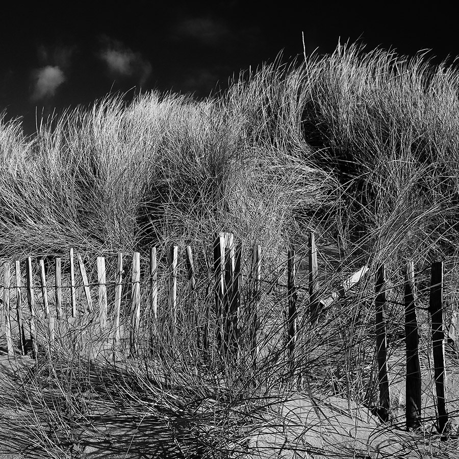 Elevate Landscape Photography with Square Format: Insights from Top Experts