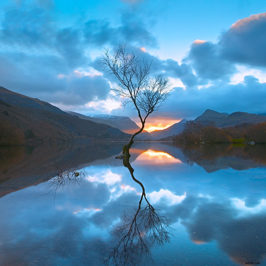 Elevate Landscape Photography with Square Format: Insights from Top Experts