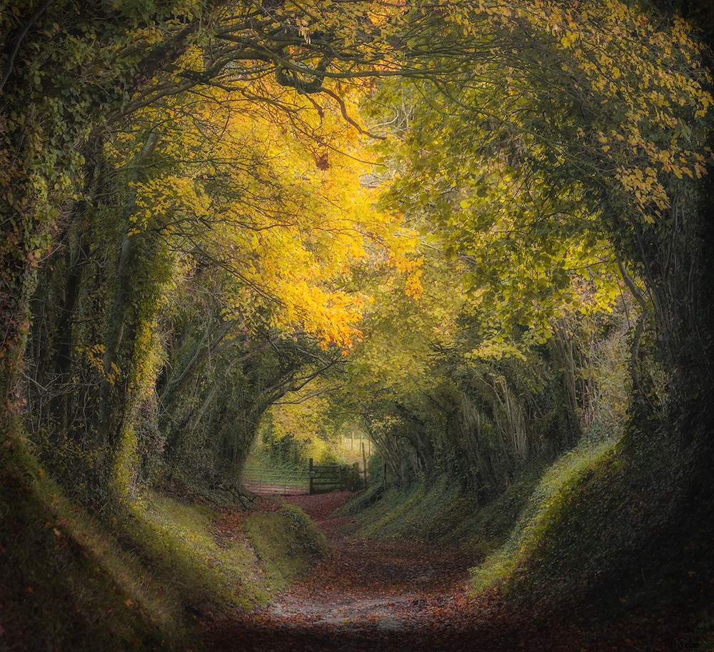 Top 20 Stunning Landscape Photographs to Inspire Your Next Shoot