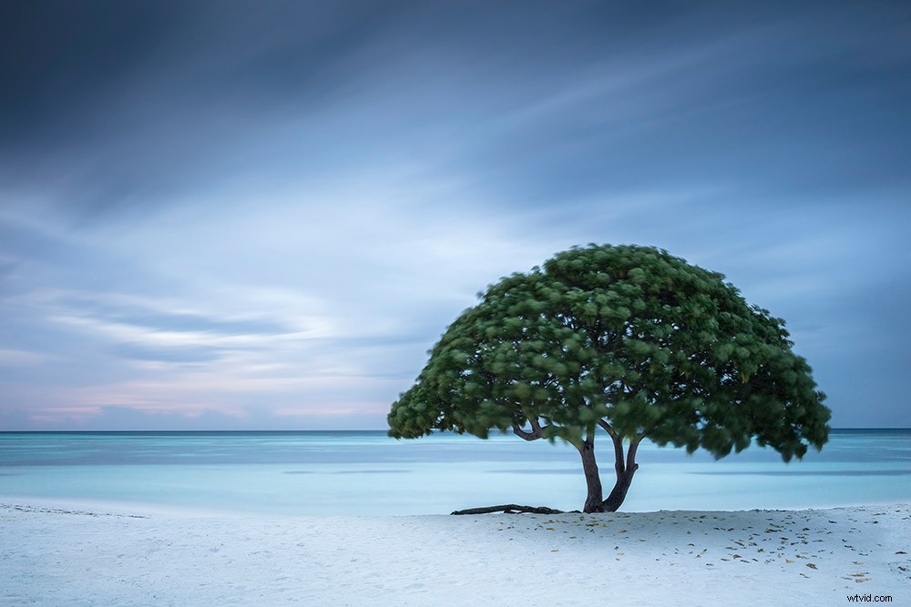 Mastering Minimalist Landscape Photography: Insights from Award-Winning Expert Anthony Lamb