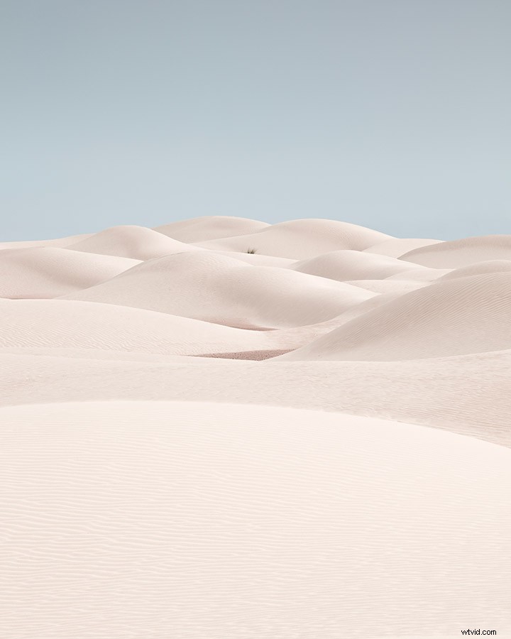 Mastering Minimalist Landscape Photography: Insights from Award-Winning Expert Anthony Lamb