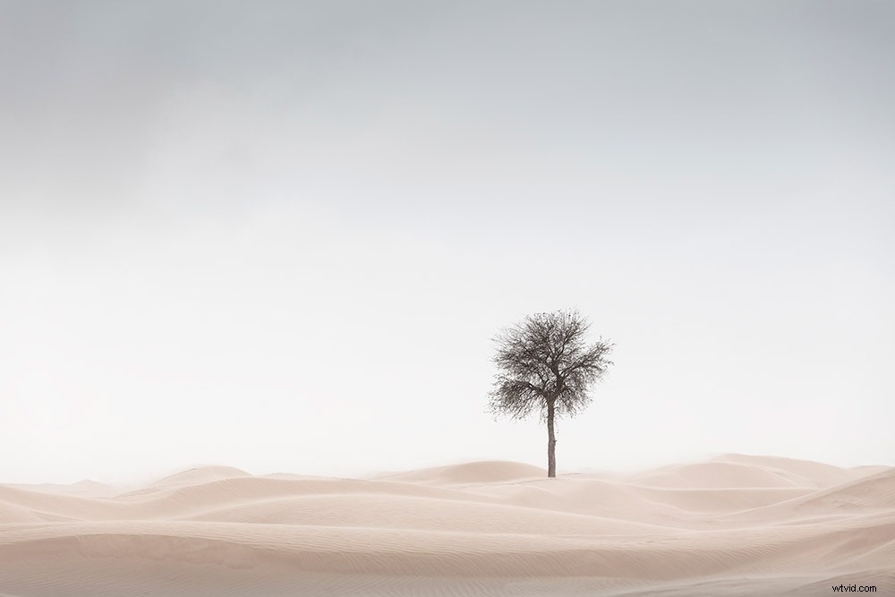 Mastering Minimalist Landscape Photography: Insights from Award-Winning Expert Anthony Lamb