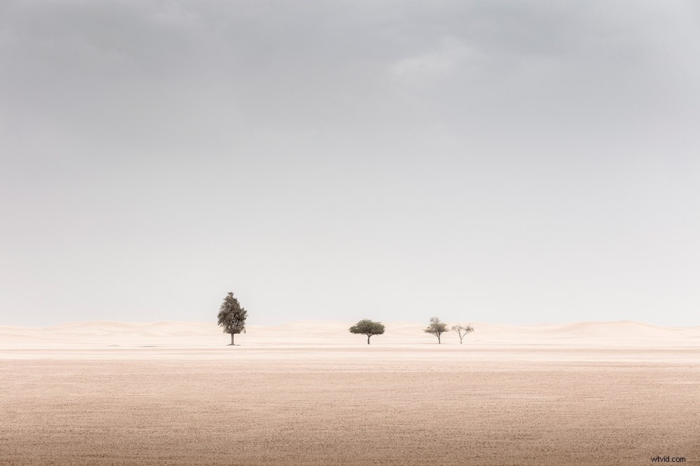 Mastering Minimalist Landscape Photography: Insights from Award-Winning Expert Anthony Lamb